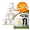 Yarrah Mix Probierpaket 6