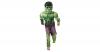 Kostüm Hulk mit Muskeln G...