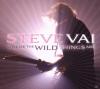 Steve Vai - Where The Wil...