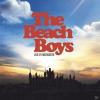 The Beach Boys - Live At Knebworth - (CD)