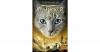 Warrior Cats - Zeichen de