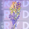 Ryd - Ryd - (CD)