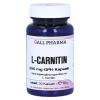 L-carnitin 250 mg Kapseln