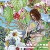 Ed Wynne - Shimmer Into Nature - (CD)