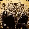 Black Stone Cherry - Blac