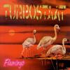 Turbostaat - Flamingo - (1 Vinyl)