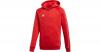 Kinder Sweatshirt mit Kapuze Core 18 Gr. 116