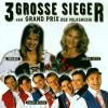 VARIOUS - 3 Grosse Sieger...