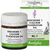 Biochemie 1 Calcium fluoratum D 6 Tablet