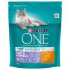 Purina ONE Coat & Hairbal