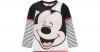 Disney Mickey Mouse & fri...