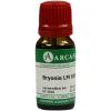 Bryonia LM 18 Dilution