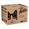 Felix Pouches 80 x 100 g ...