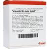 Pulpa dentis suis-Injeel®...