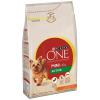 Purina ONE Mini Active Hu...